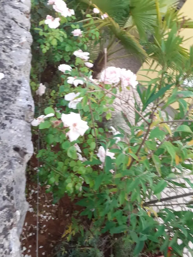 Apartmani Ljerka Malinska Appartamento